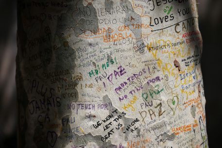 Jihadism: the direct conversion to radicalism
