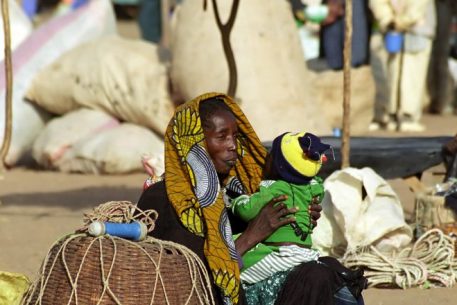 Climate Security in the Sahel and the Mediterranean: Local and Regional Responses