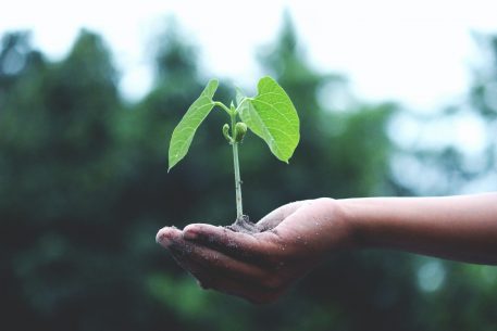 Sustainability: Towards A New Paradigm Of Development In The Euro-Mediterranean Area