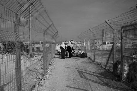 La usurpación de la Primavera Palestina