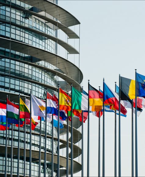 The European Union in a Transformed Mediterranean: Strategies and Policies