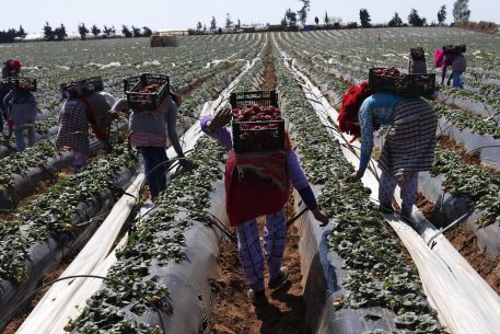 Innovación y tecnología: ¿cuáles son los retos de la agricultura y del mundo rural en el Mediterráneo?