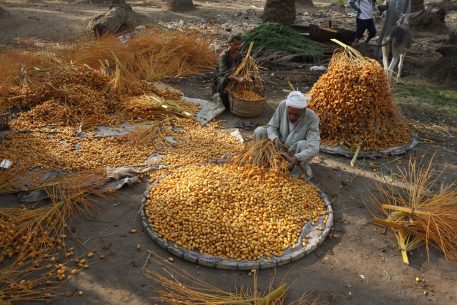 Agriculture and Food Security in Climate Sensitive Areas in the Mediterranean