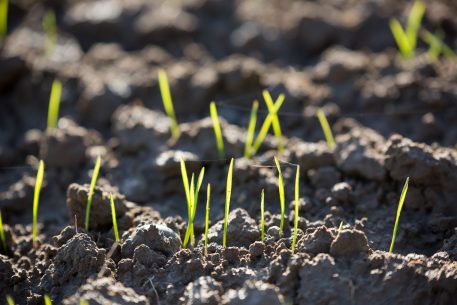 A Euro-Mediterranean Green Deal? Towards A Green Economy In The Southern Mediterranean