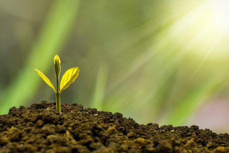 Raising Private Sector Investments and Social Awareness to Boost the Green Transition in the Southern Neighbourhood: Two Parts of the Same Equation