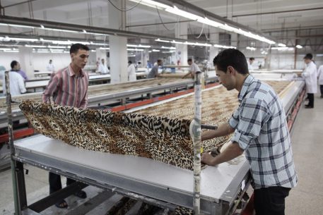 Desempleo juvenil y políticas de empleo