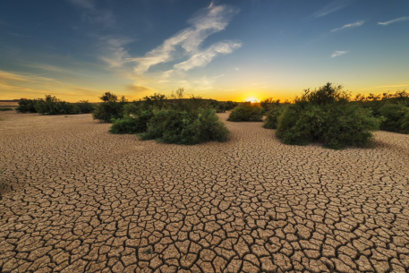 Climate Change and Environmental Change in the Mediterranean: Grasping the Scope of the Challenge