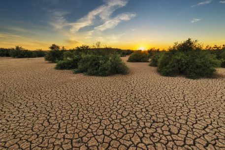Climate and Environmental Change in the Mediterranean: Grasping the Scope of the Challenge