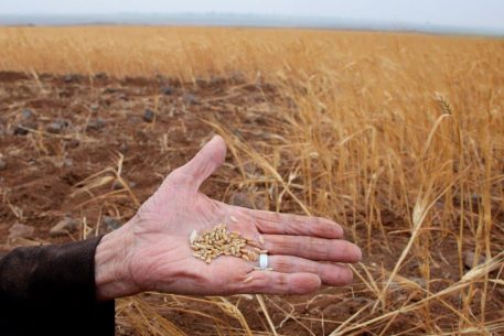 Hambre y conflicto: la tormenta perfecta