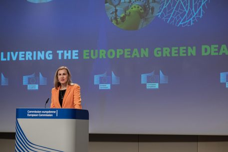 Europe’s Quest for Energy Security and the Renewed Case for a Strong Mediterranean Green Energy Partnership