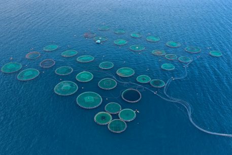 MedThink 5+5 Thematic Seminar: Tapping the potential of Sustainable Blue Economy in the Western Mediterranean