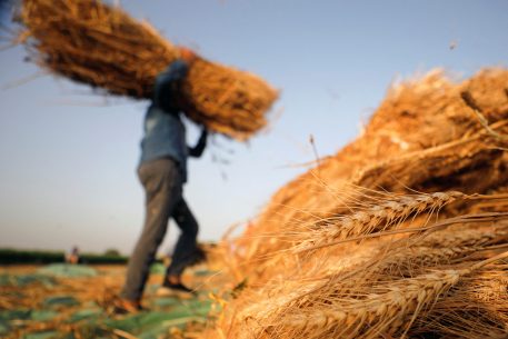 Observaciones sobre el impacto de las recientes crisis sobre la seguridad alimentaria en la región mediterránea, y sus efectos negativos sobre la estabilidad y la seguridad humana