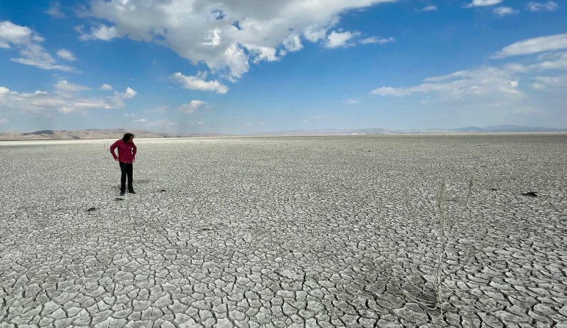 Action climatique dans la région MENA : promesses, espoirs et grands mots