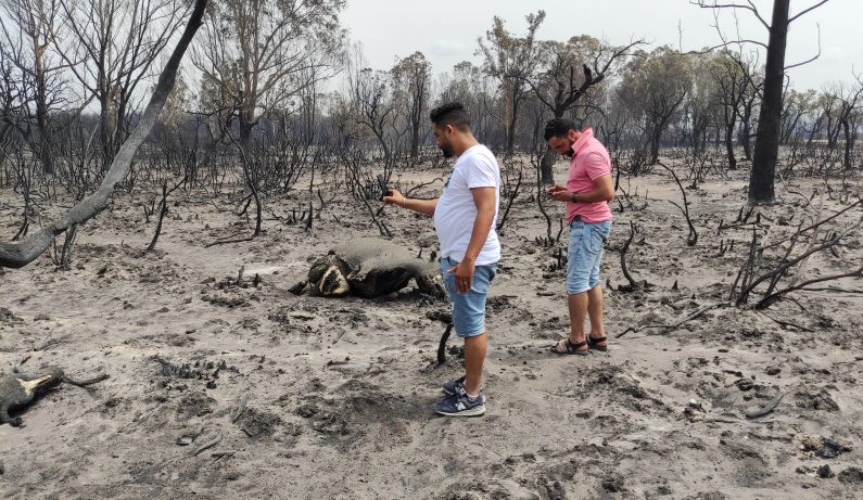 La région MENA face au risque climatique : implications et options de réponse