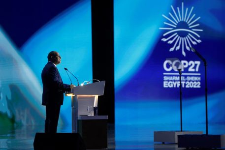 A Decade of al-Sisi in Power: Between Economic Crisis, Repression and the Search for International Recognition
